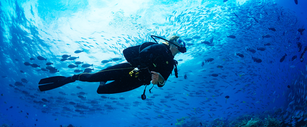 チェックダイブ