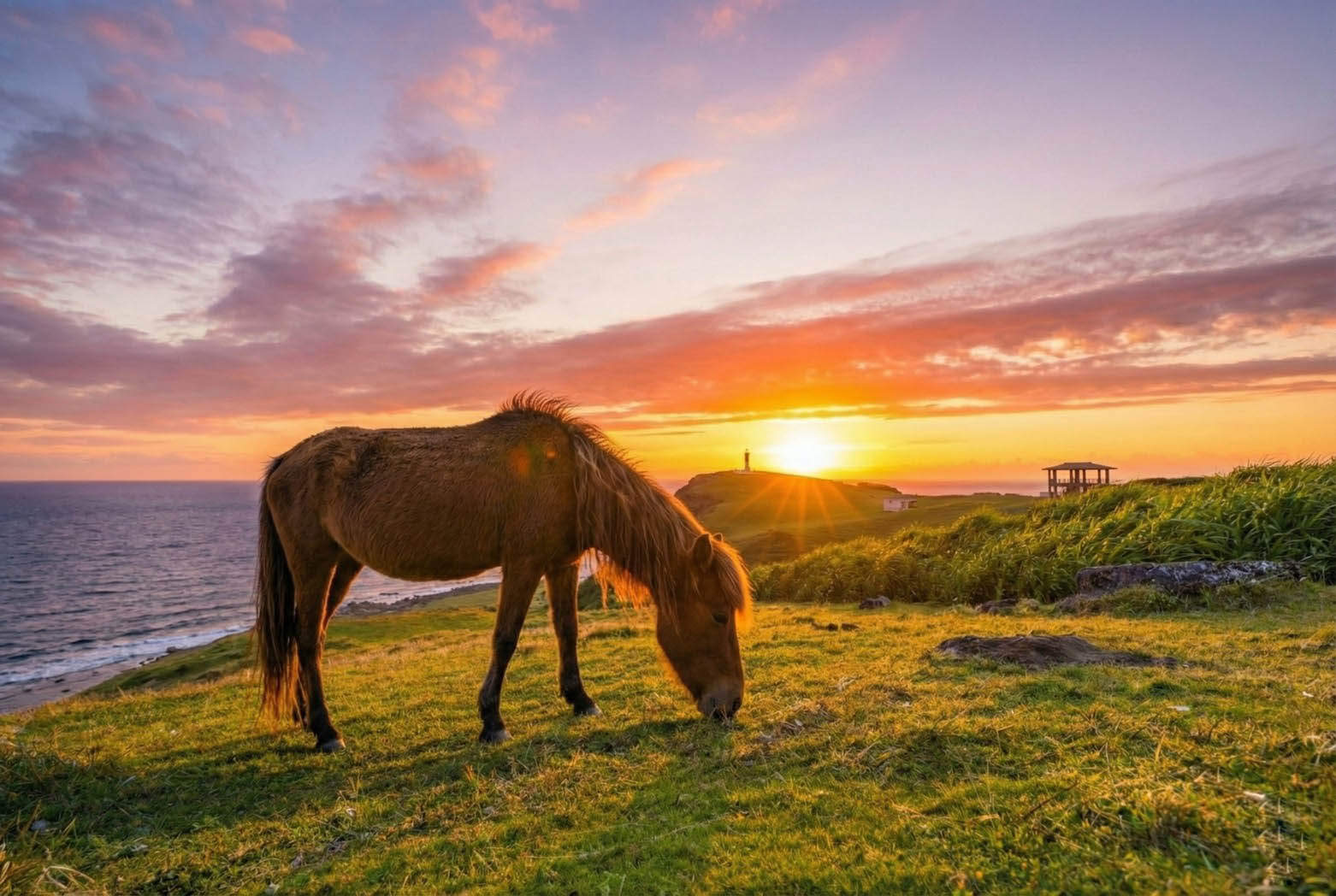 夕日と与那国馬のシルエット